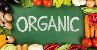 Organic Food