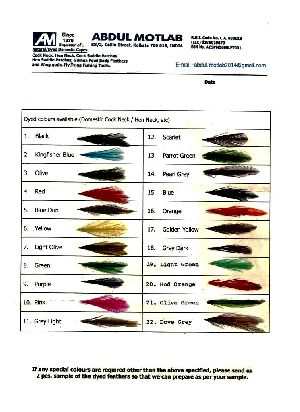 Dyed Feather