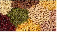 Indian Pulses