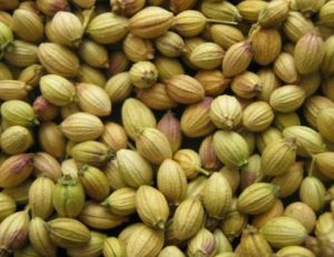 Coriander Seeds