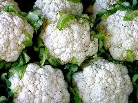 Fresh Cauliflower