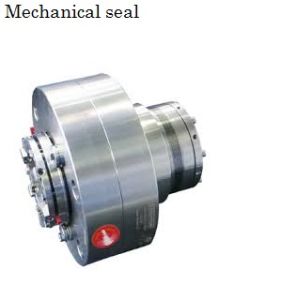 Mechanical Seal