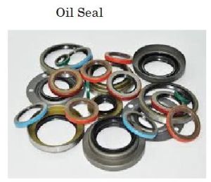 Oil Seal