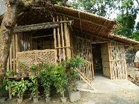 bamboo hut