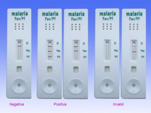 Malaria Test Kit