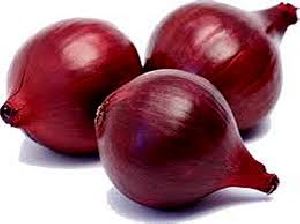Fresh Onion