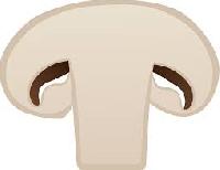 mushroom slice