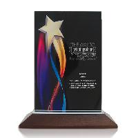 Acrylic Award Trophies