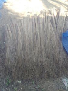 Coconut Brooms