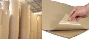 Plain Poly Coated Paper