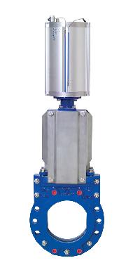 Pneumatic Gate Valve