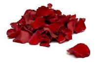 read rose petals