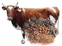 Cow Feed