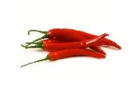 Fresh Red Chilli