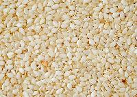 Sesame Seeds