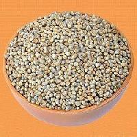 Pearl Millet Seeds