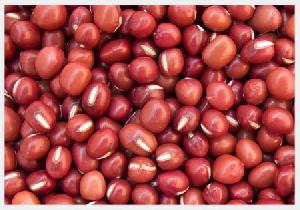 Red Sorghum Seeds