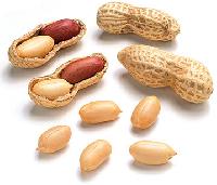 Shelled Groundnuts