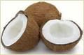 Pollachi Coconut