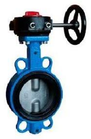 resilient seated butterfly valve