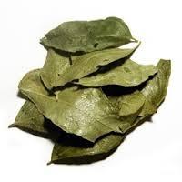 dry curry leaves
