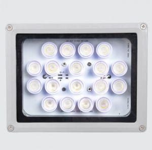 Led Flood Light