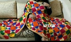 Ladies Multicolor Phulkari Dupatta