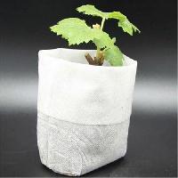 Nursery Plant Poly Grow Bags