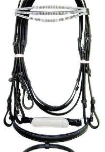 Leather Bridle