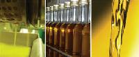 Cattle Seed Oil