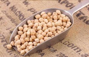 White Chickpeas