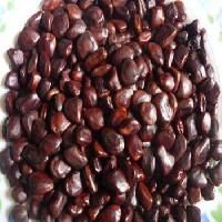 tamarind kernel