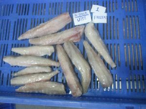 Frozen Bombay Duck Fish