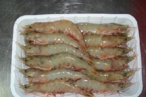 Frozen Sea White Hoso Shrimps