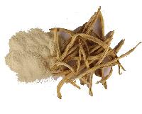 Safed Musli Powder