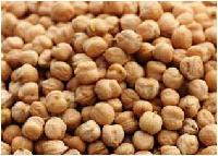 White Chickpeas