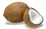 Fresh Coconut