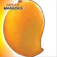 MANGOES(KESAR )