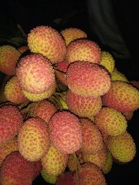 Fresh Litchi