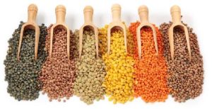 Indian Pulses