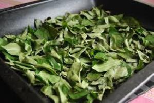 dehydrated curry leaves