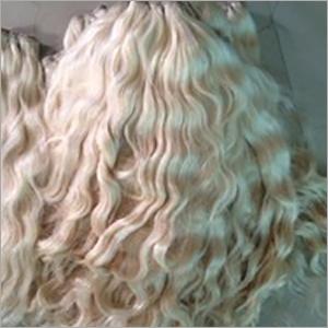 blonde curly hair