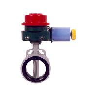 Motorised Butterfly Valve