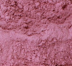 Dehydrated Red Onion Powder