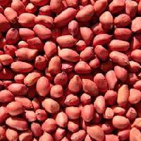 Red Skin Groundnuts