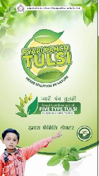 Pyari Panch Tulsi