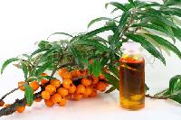 Sea Buckthorn Oil