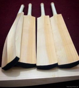 Kashmir Willow Cricket Bat