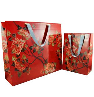 Imported Art Card Paper Bags