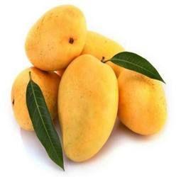 Fresh Badami Mango